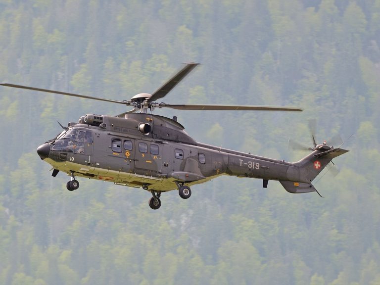 Puma/Super Puma